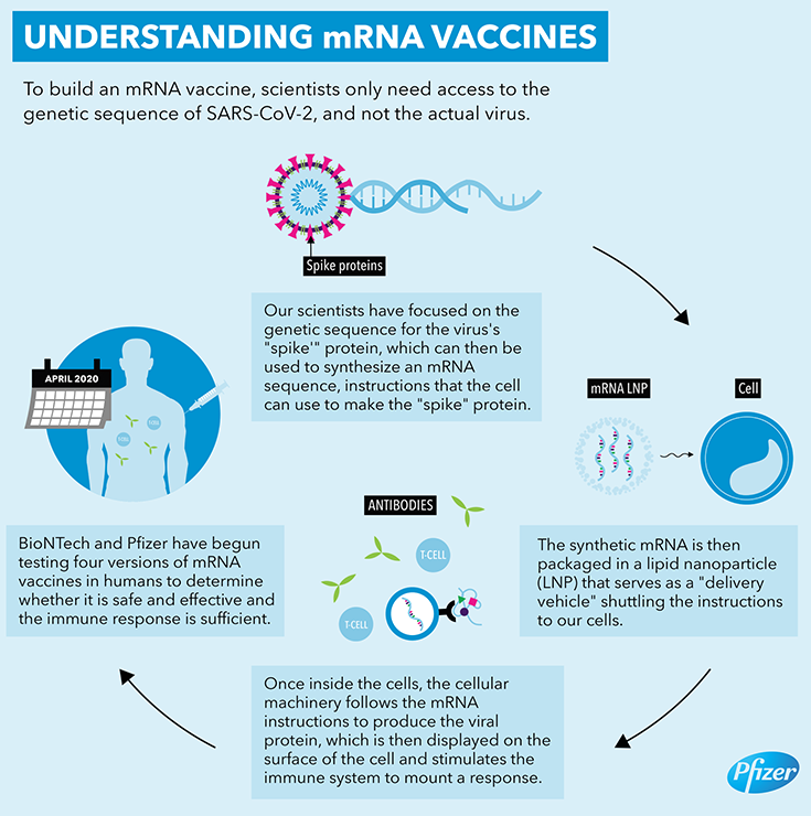 Understanding mRNA vaccines.